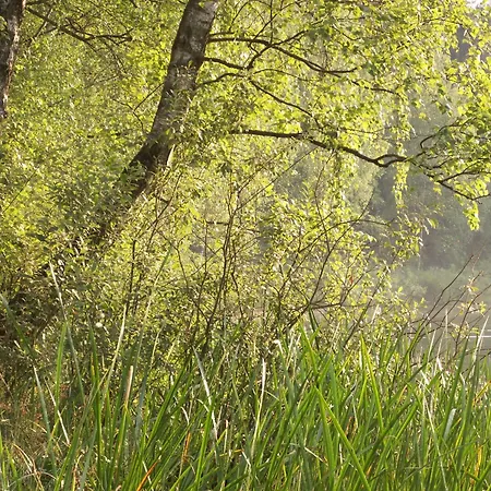 Blekitny * Выдмины